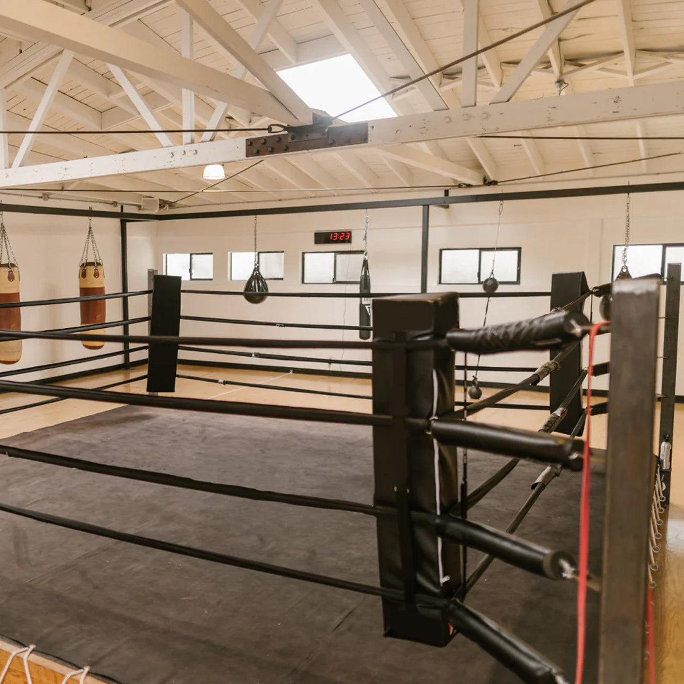Professional Black Boxing Ring Canvas