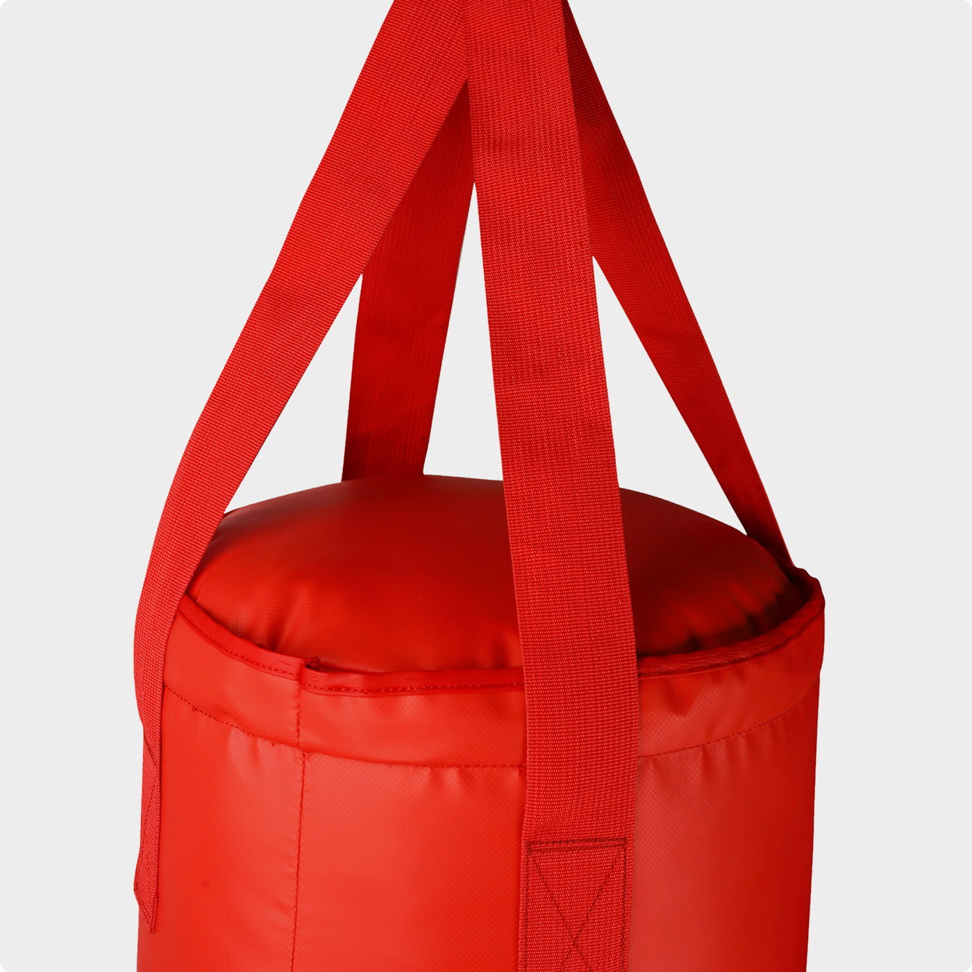 Vinyl Punching Bag